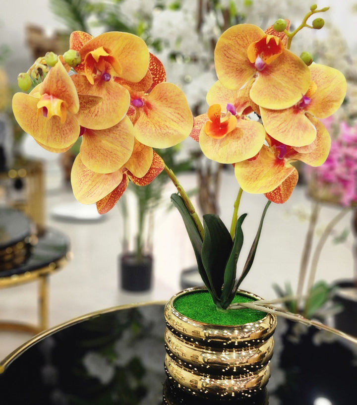 TP-32 - Yellow Orchard in Gold Colour Plated Pot - 17 Inches