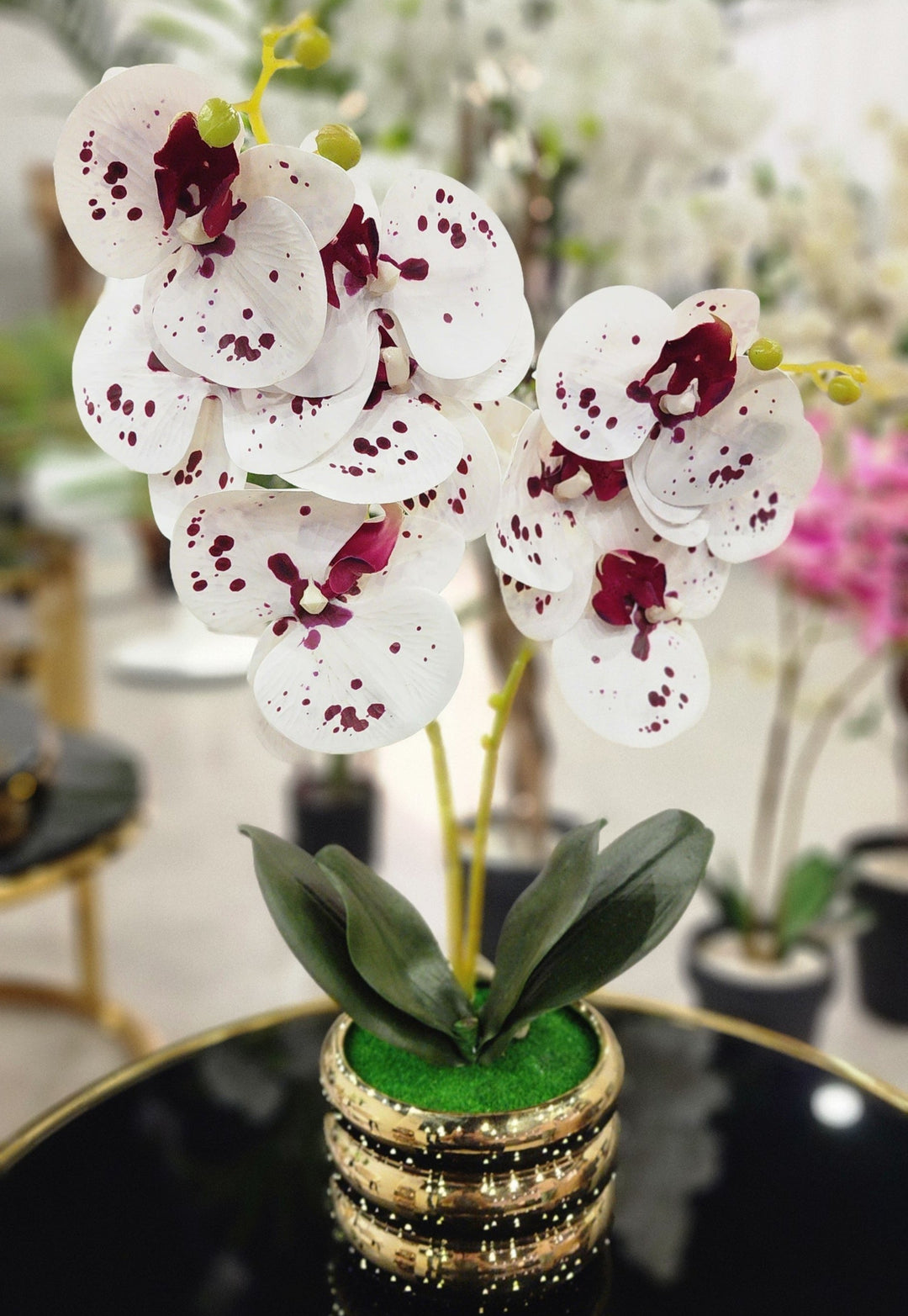 TP-33 - White & Red Orchard in Gold Colour Plated Pot - 17 Inches