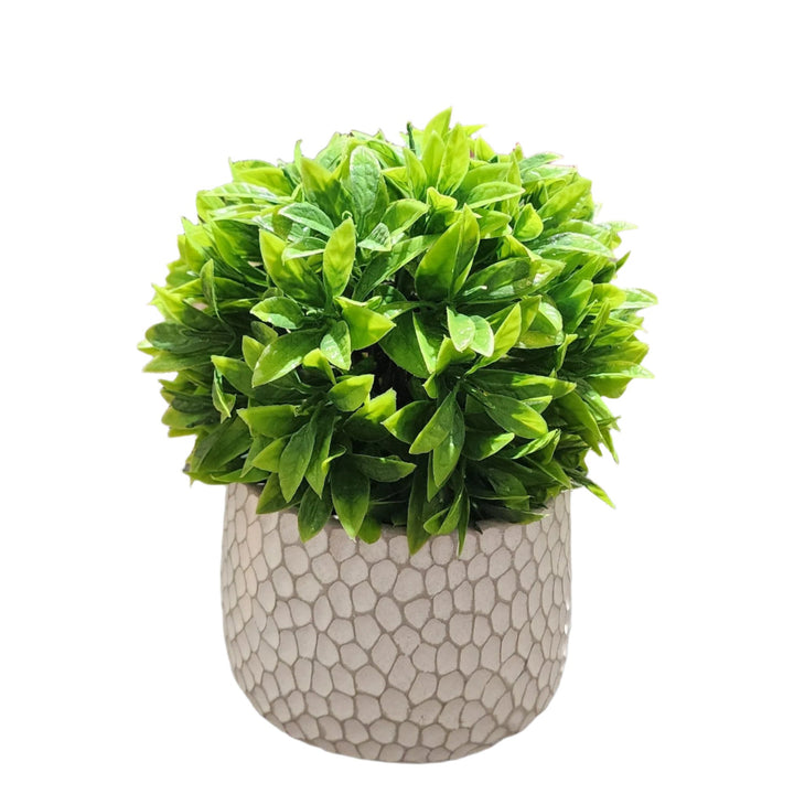 TP-002 - Artificial Bonsai Fex in a Ceramic White pot