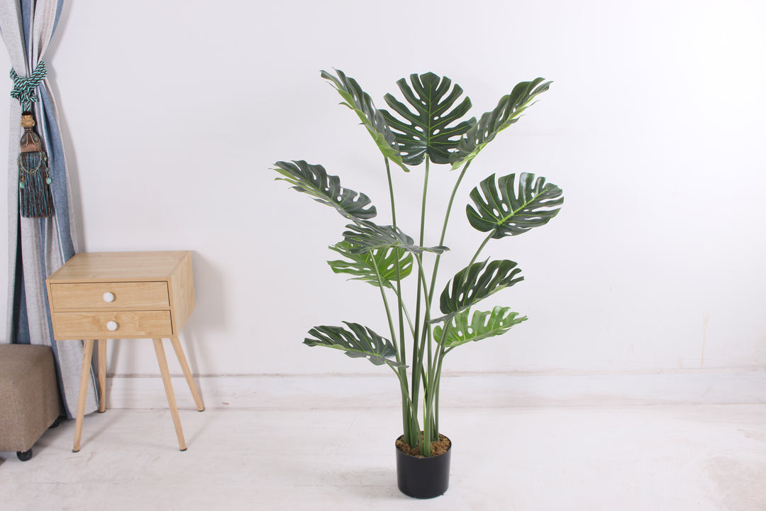 Monstera - JWS3024