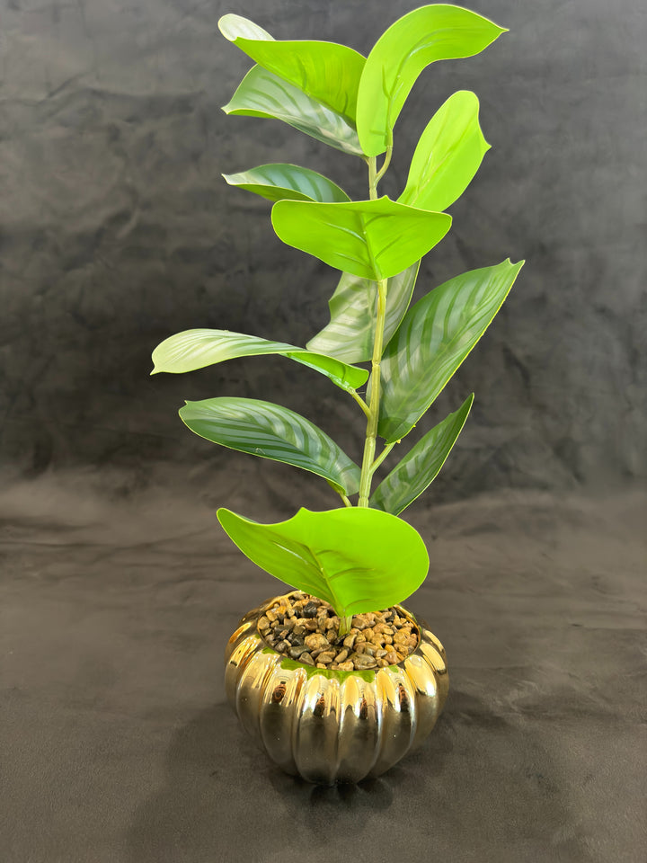 TP-34 - Greyish Banyan round Leave in Gold Colour Plated Pot - 18 Inches