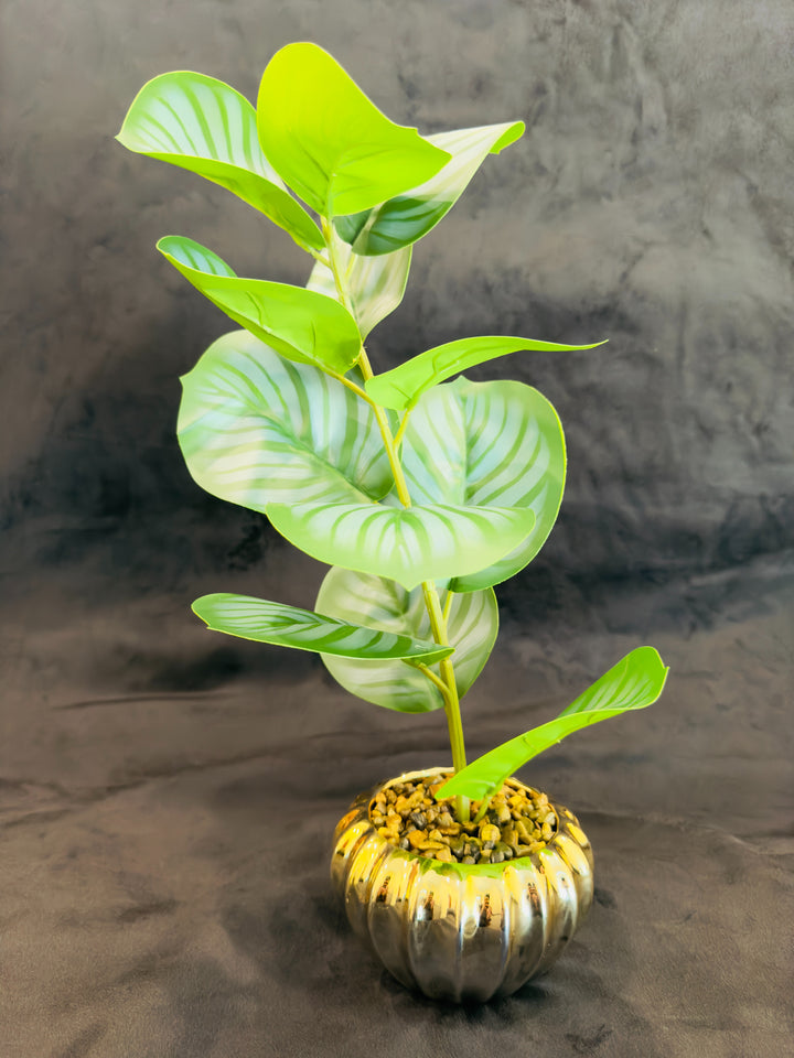 TP-29 - Greenish Banyan Round Leaves Gold Colour Ceramic Pot - 13 Inches