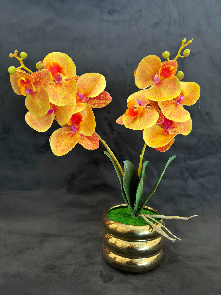 TP-32 - Yellow Orchard in Gold Colour Plated Pot - 17 Inches