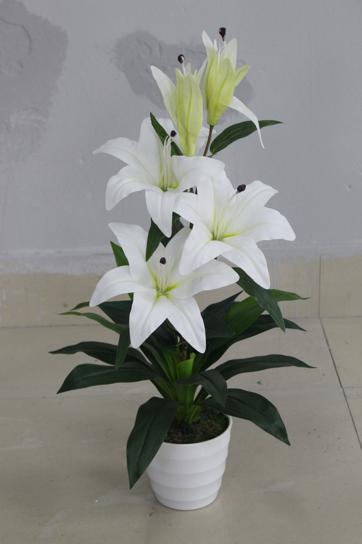 Lilly - JWS2943