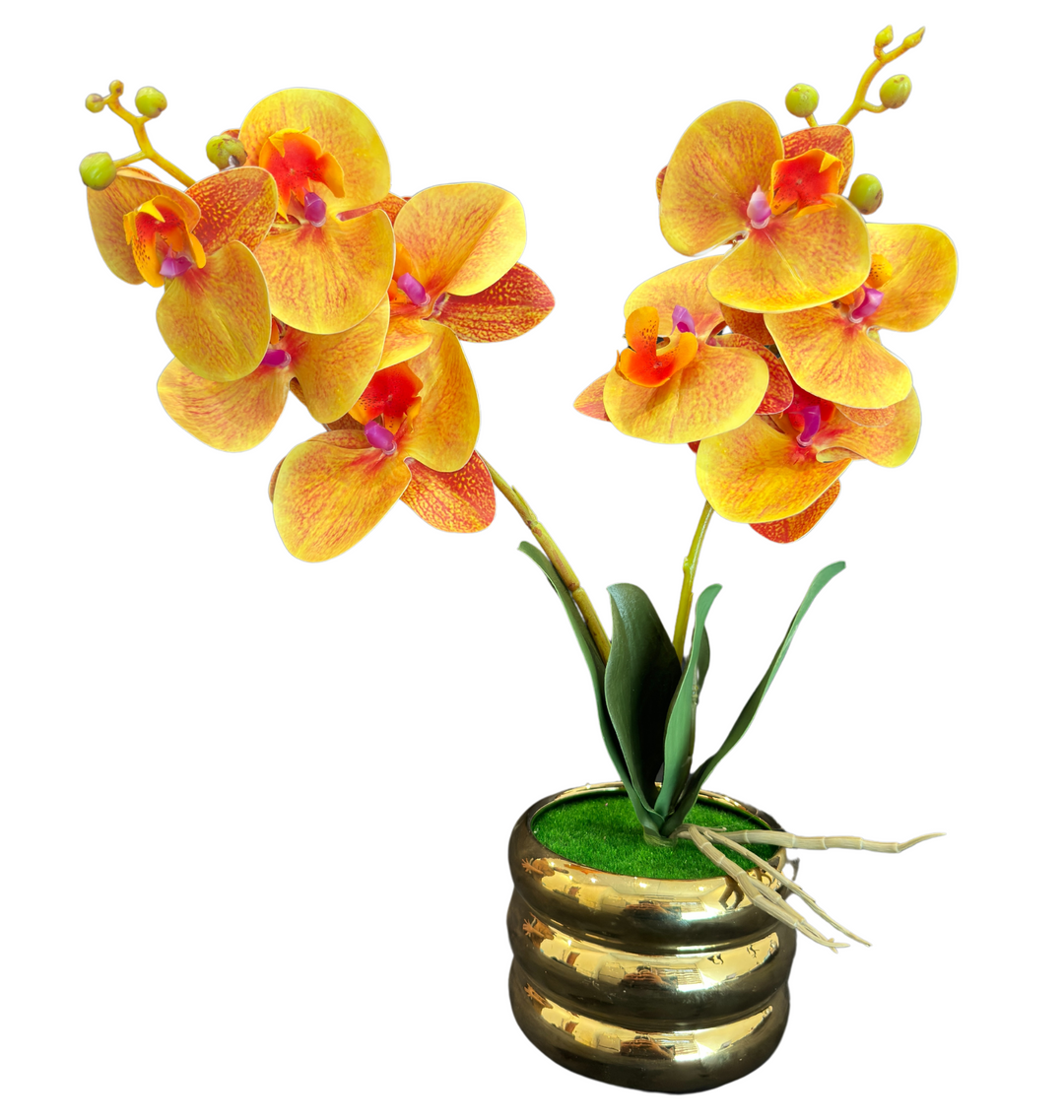 TP-32 - Yellow Orchard in Gold Colour Plated Pot - 17 Inches