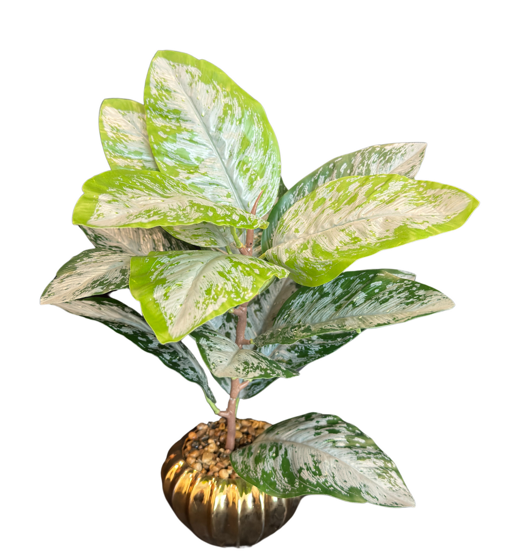 TP-37 - Dieffenbachia Grey & Green in Gold Colour Plated Pot - 17 Inches