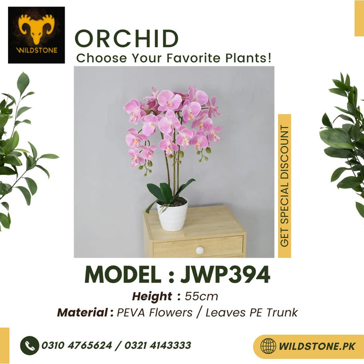 Orchid - JWP394