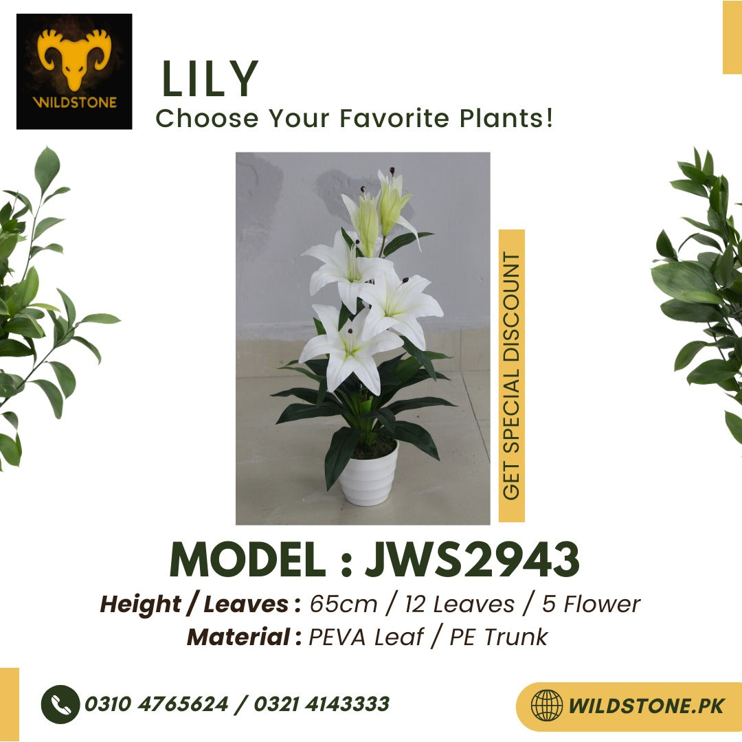 Lilly - JWS2943