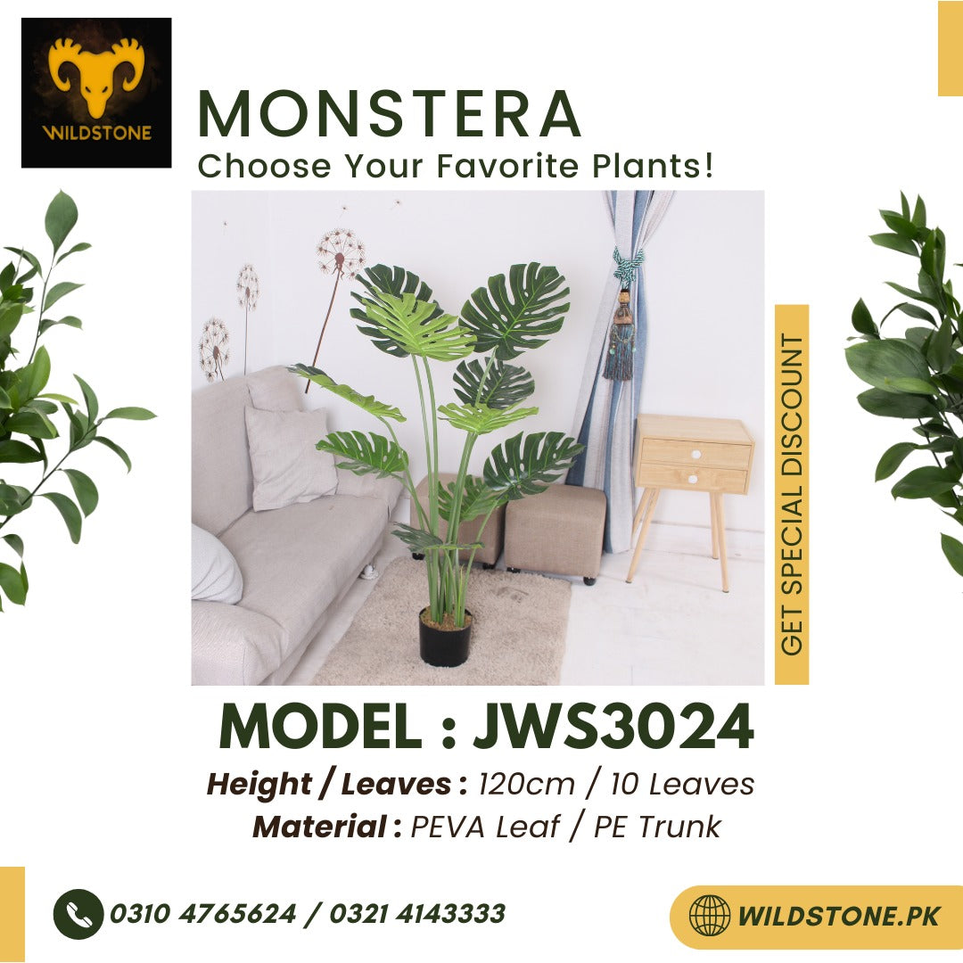 Monstera - JWS3024