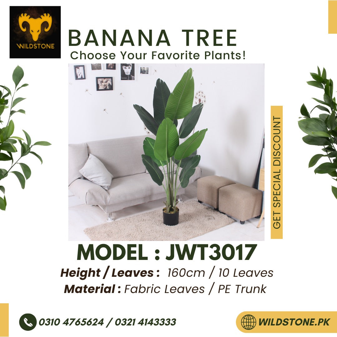 Banana tree - JWT3017