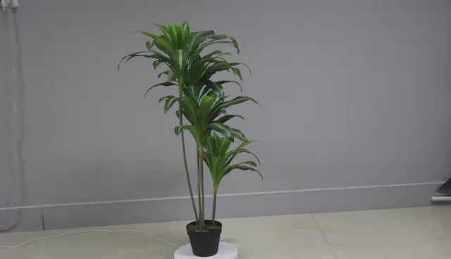 Artificial Dracaena - JWS2685