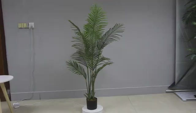 Palm - JWS3013